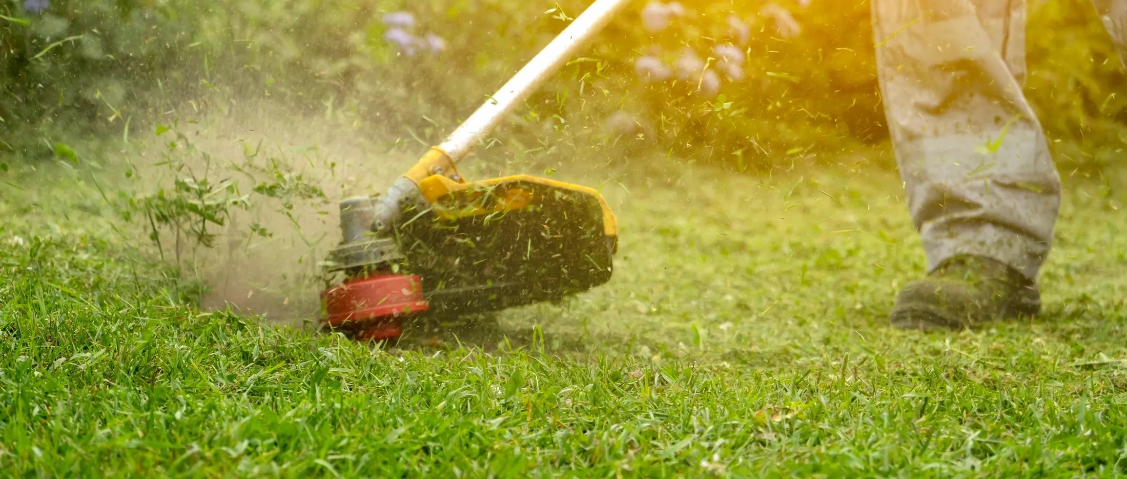 Professional lawn mowing service